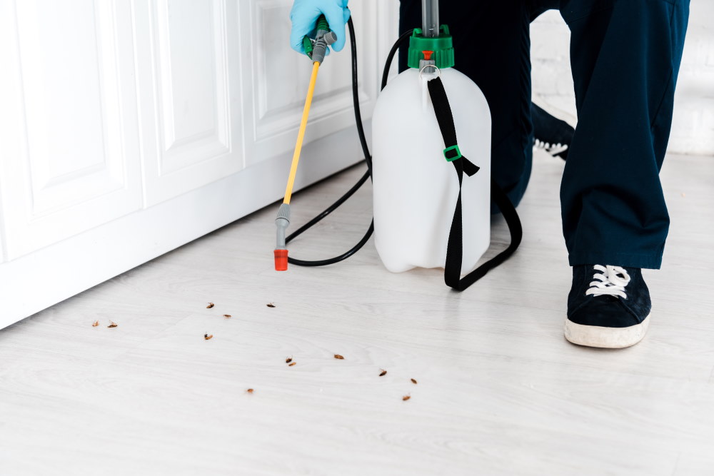 You are currently viewing 10 Mistakes You Make When Hiring Pest Control Services