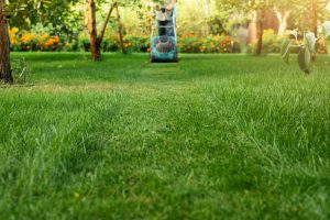 Read more about the article Guide to Lawn Care: Tips to Keep Your Yard Looking Green and Fresh All Year Round